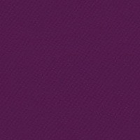 Fuchsia  1